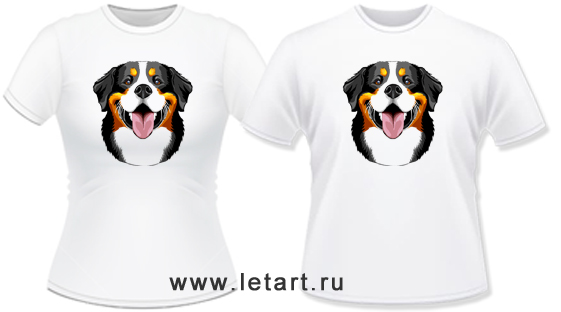 http://www.letart.ru/_mod_files/ce_images/BERN_ZENNENHUND/fbzulib3.jpg