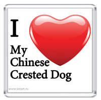 http://www.letart.ru/_mod_files/ce_images/KITAYCI/chinese_crested_dog_i_love_m.jpg