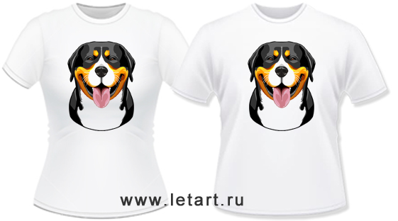 http://www.letart.ru/_mod_files/ce_images/SHVEC_ZENNENHUND/fgrosserulibaka1.jpg