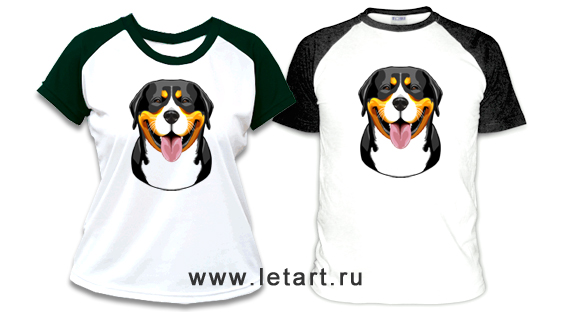 http://www.letart.ru/_mod_files/ce_images/SHVEC_ZENNENHUND/fgrosserulibaka2.jpg