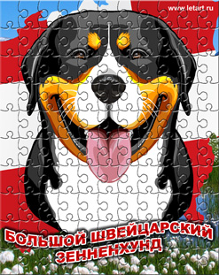 http://www.letart.ru/_mod_files/ce_images/SHVEC_ZENNENHUND/pazlgrosserz.jpg