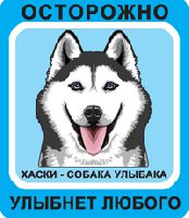 Автомобильная наклейка. Сибирский хаски. Собака улыбака (черный хаски с голубыми глазами, сине-голубой фон)