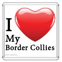 I Love My Border Collie