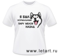 Футболка. Аляскинский маламут. Адекват (мужские) Футболка. Аляскинский маламут. Адекват (мужские)