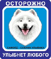 Собака Улыбака Самоедская собака голубой фон, синяя рамка