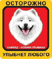 Собака Улыбака Самоедская собака красный фон, оранжевая рамка